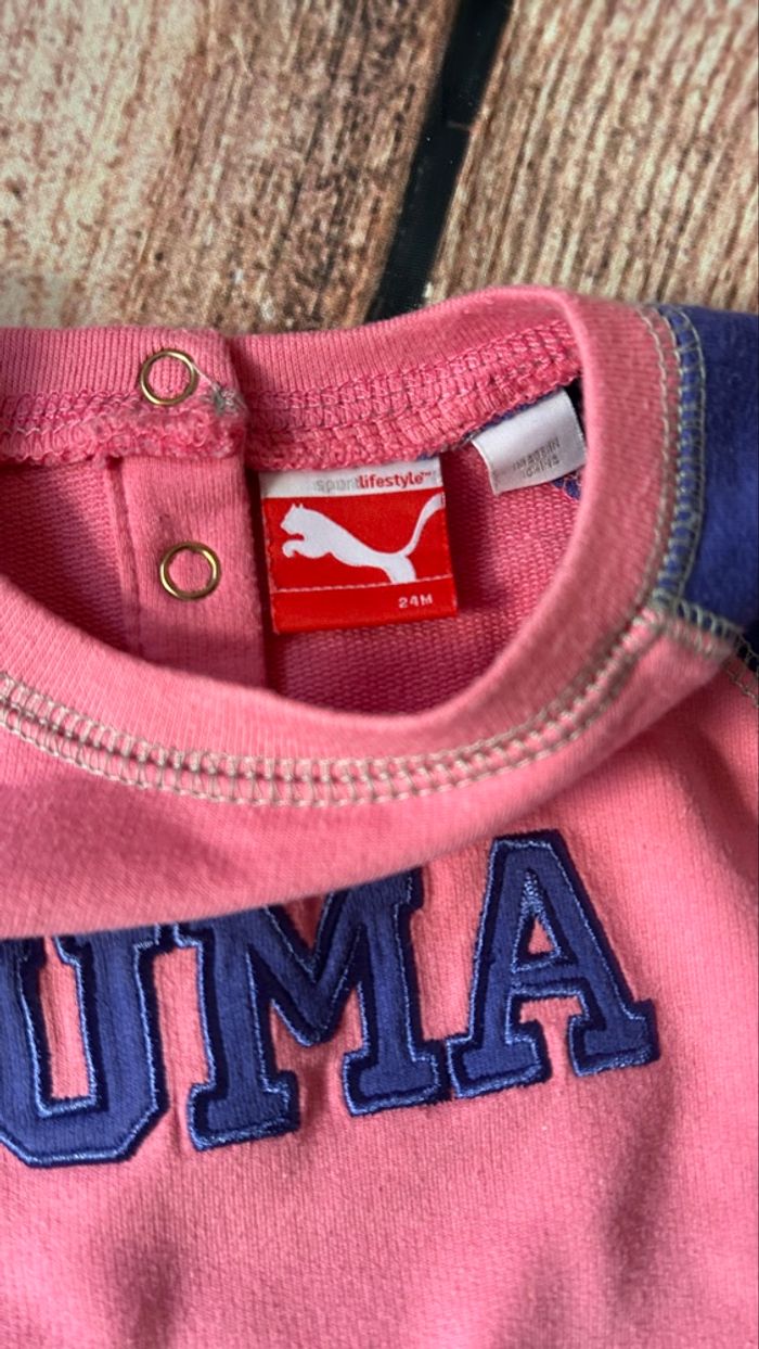 Ensemble puma - photo numéro 2