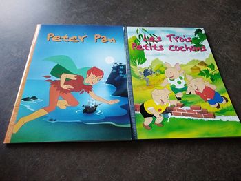 Lot de 2 livres illustrés