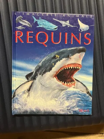 Les requins