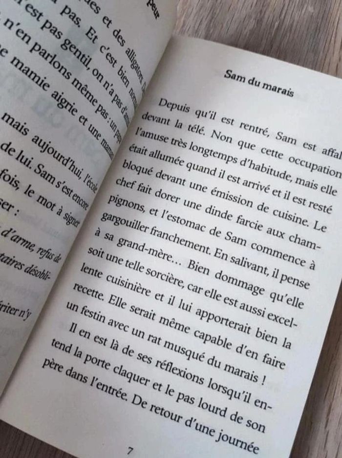 Livre Le marais de la peur - photo numéro 2