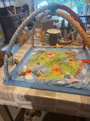 Tapis avec arceaux d’éveil 