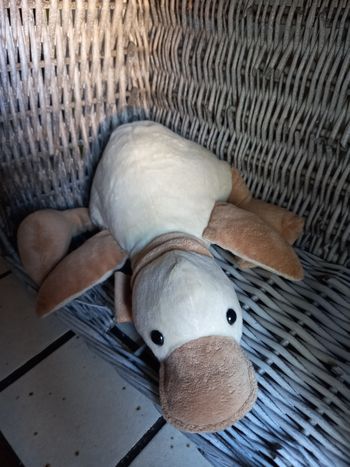 Canard peluche impeccable