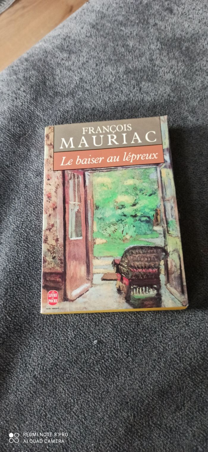 Livre le baiser au lepreux