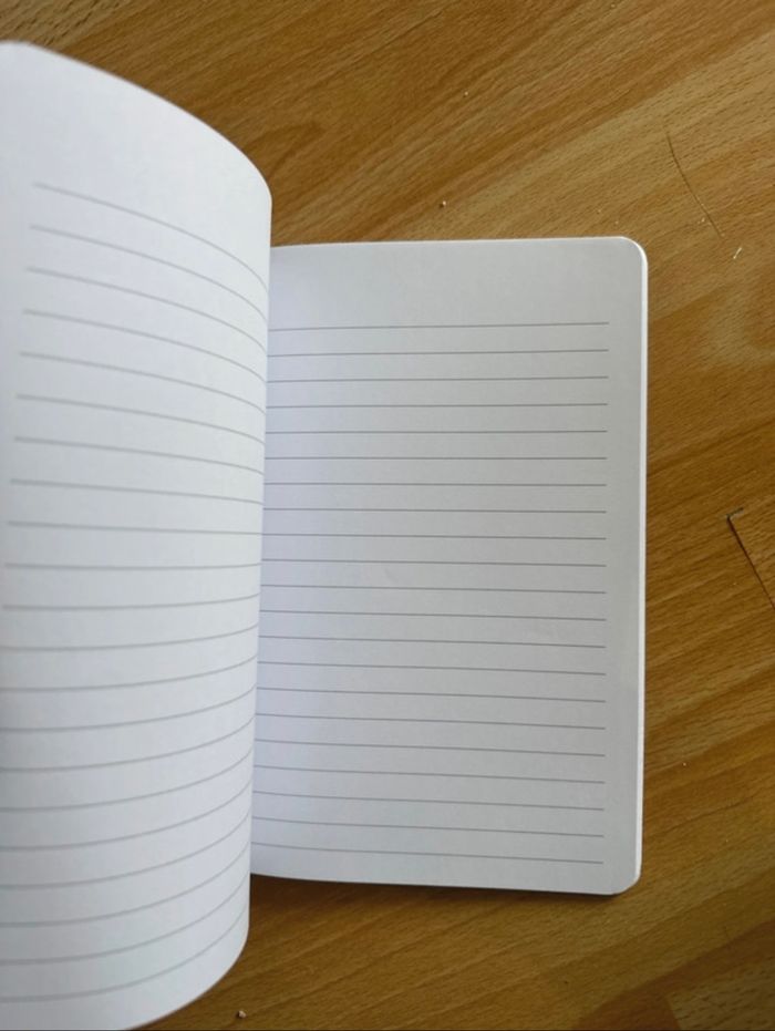 Cahier neuf Disney - photo numéro 5