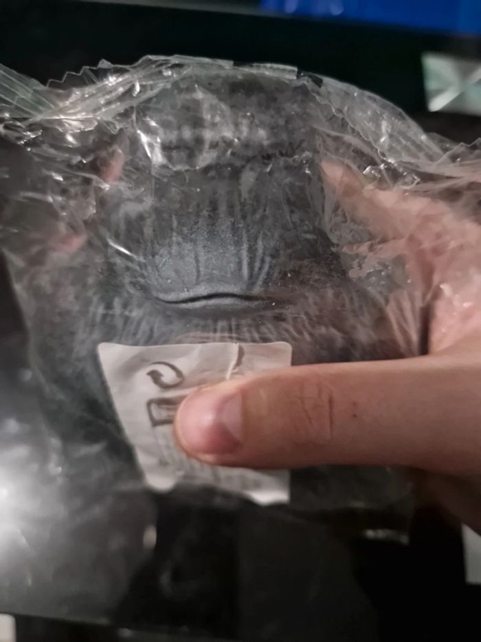 Gorille satisfaisant - photo numéro 4