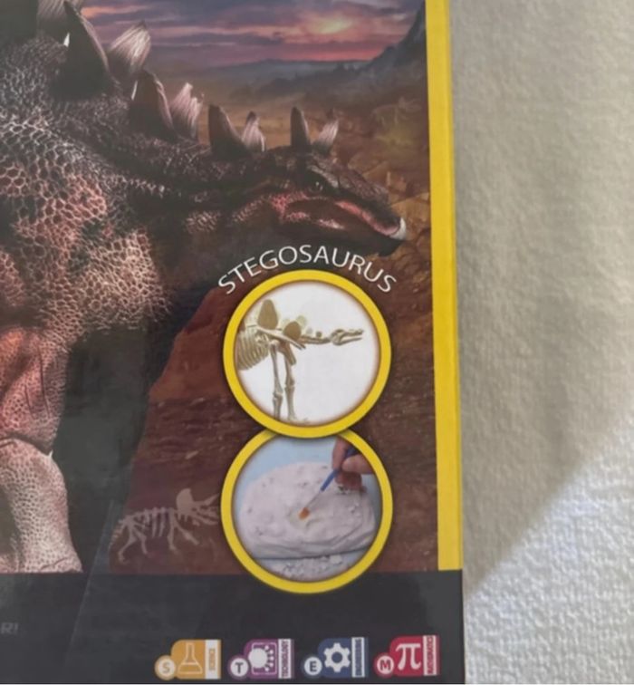 Futur paléontologue dinosaures - photo numéro 2