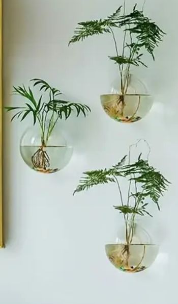 Suspension vase plantes, boutures