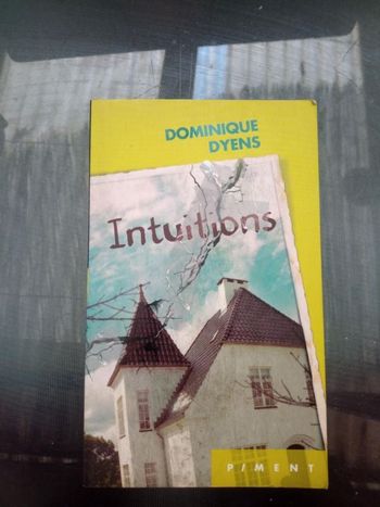 roman Intuitions Dominique Dyens