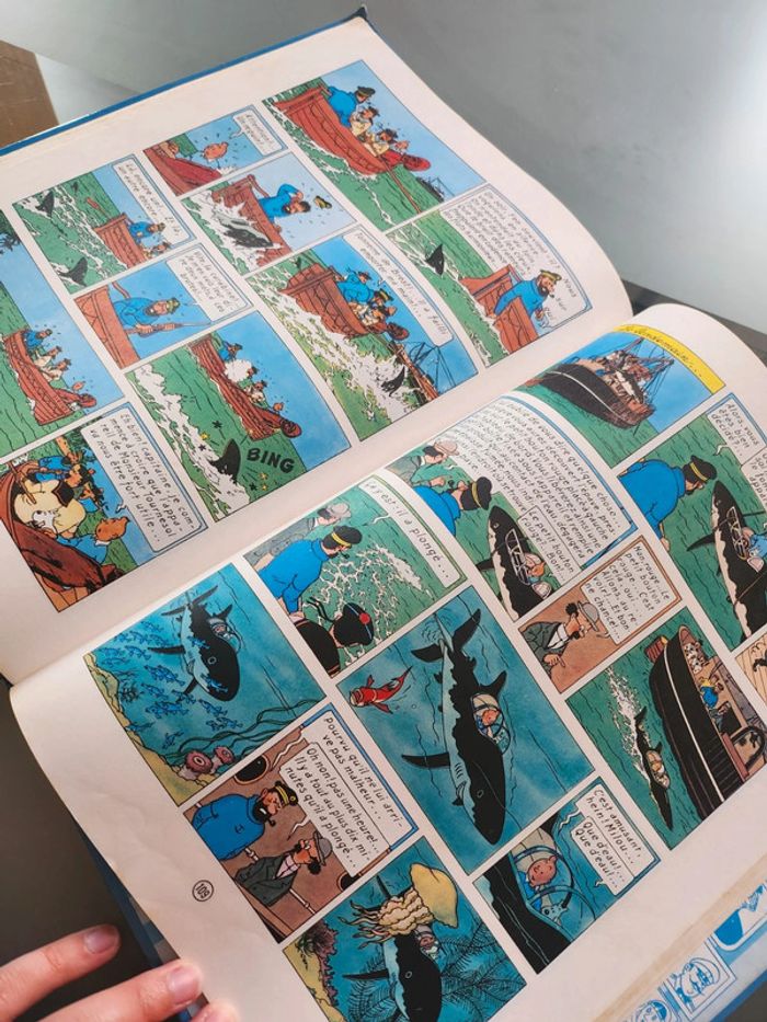 Album double Tintin - photo numéro 5