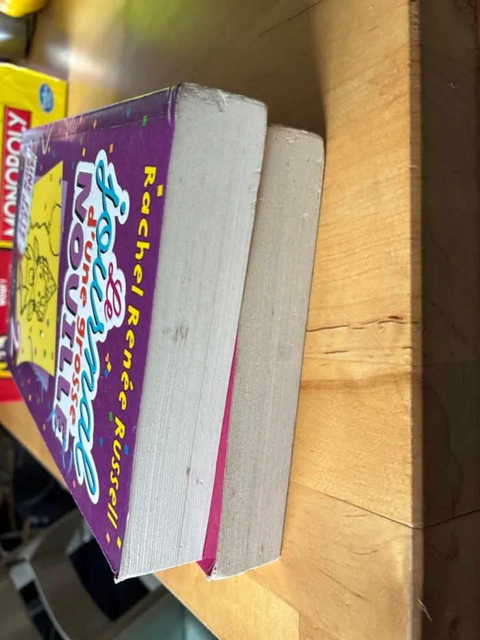 Le journal d’une grosse nouille tomes 1 et 2 - photo numéro 4