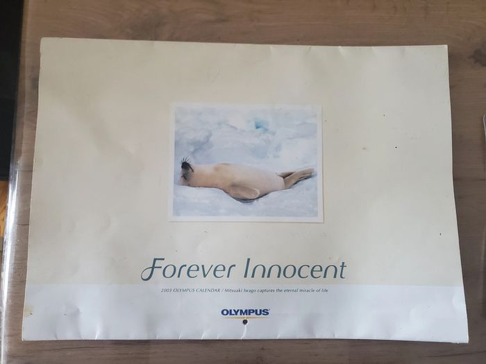 Forever Innocent animaux