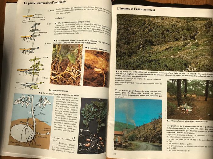 La vie des plantes - Collection Raymond Tavernier - photo numéro 2