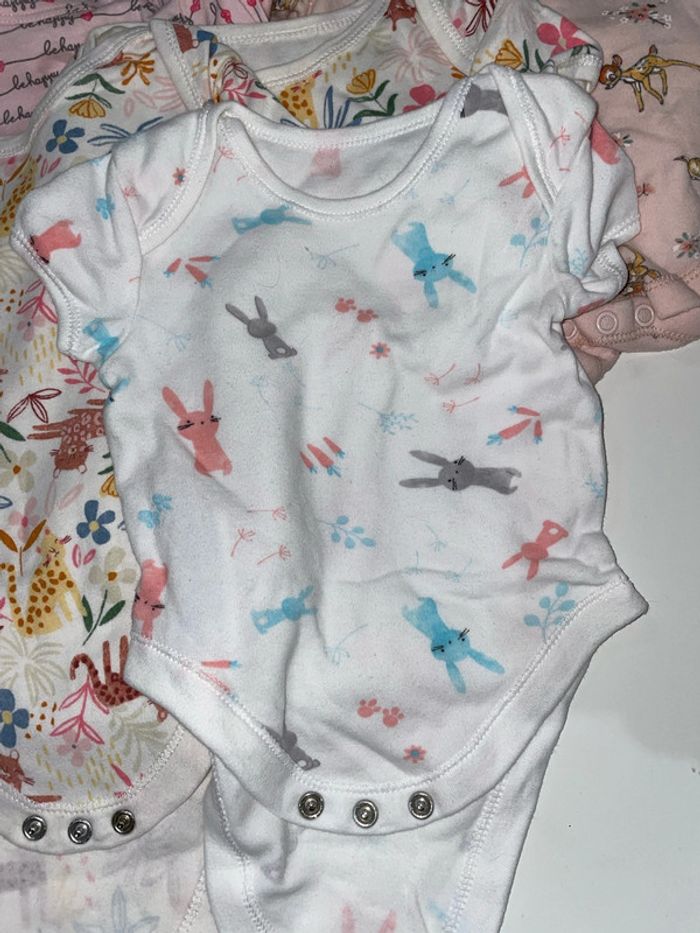 Lot de 20 bodys manches courtes - photo numéro 12