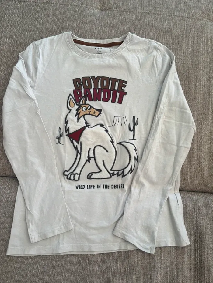 Lot de 2 T shirt manches longues imprimé velours 12 ans - photo numéro 9