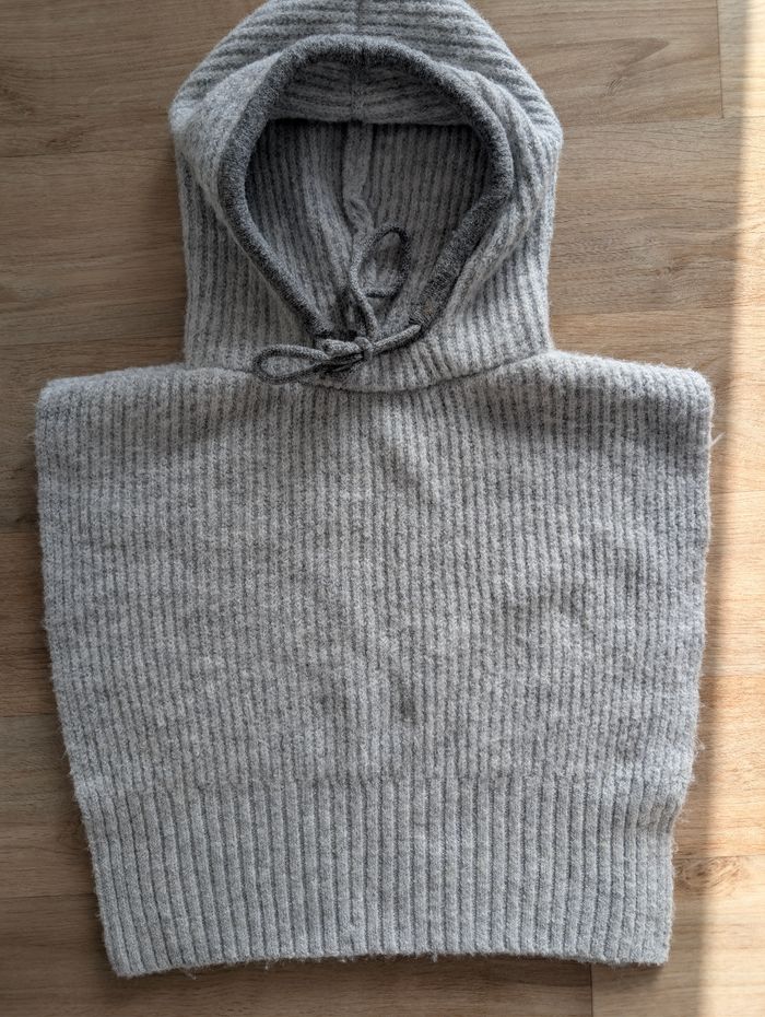 Cape grise - photo numéro 4