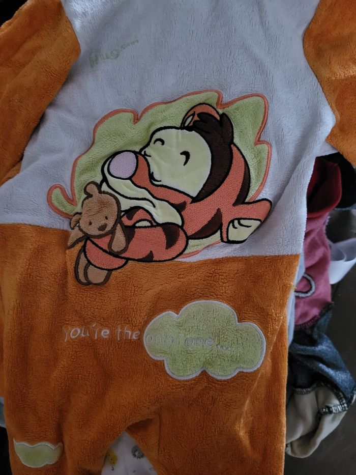 Vend plusieurs lot de naissance a 6mois - photo numéro 7