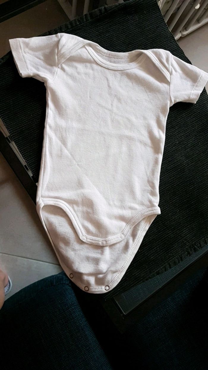 Body absorba - photo numéro 2