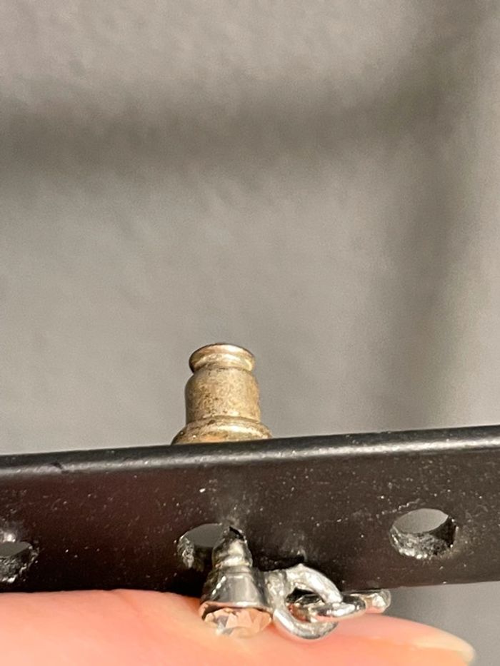 Puces d'oreille - photo numéro 2