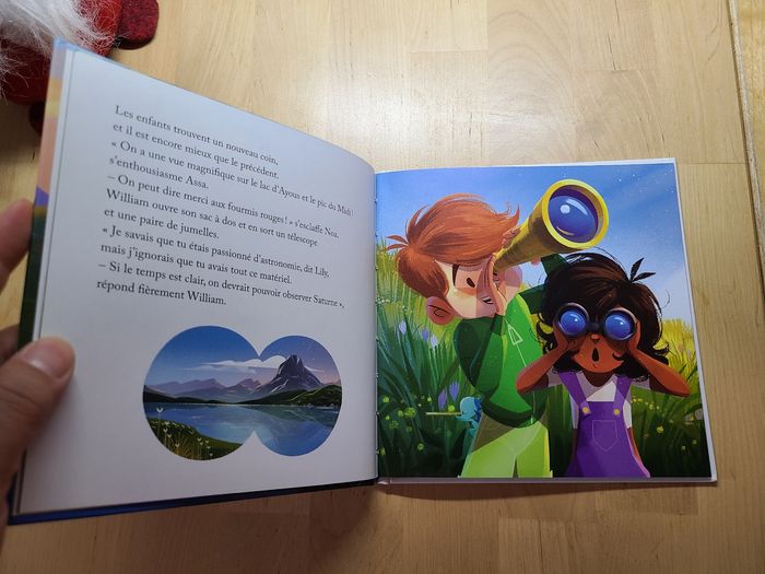 Le pic du midi d'Ossau - photo numéro 6