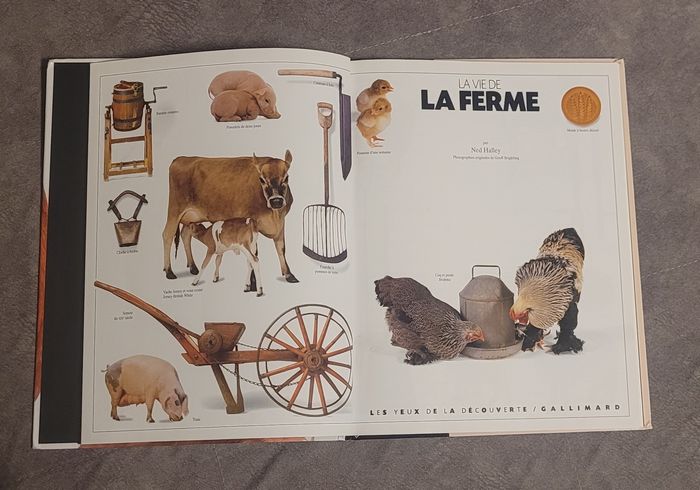 La vie de la ferme Ned Halley - photo numéro 2