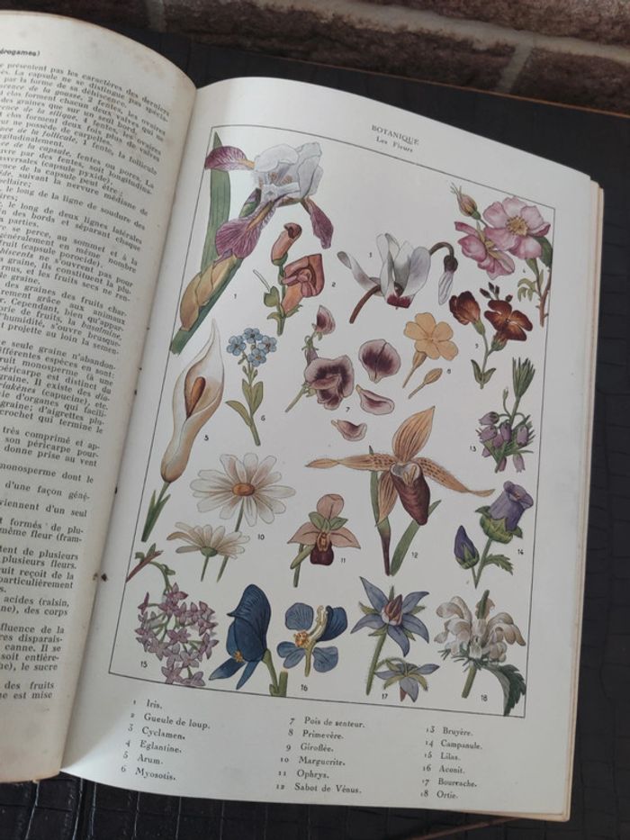 Nouvelle Encyclopédie autodidactique illustrée d'enseignement moderne - Tome 1 - photo numéro 4