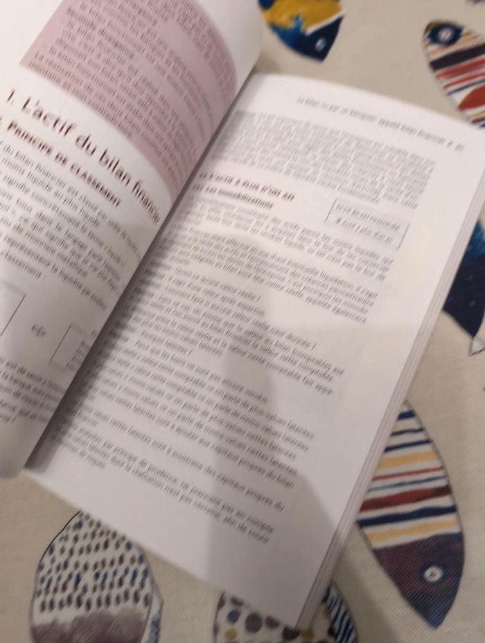 L'essentiel du diagnostic financier - photo numéro 4