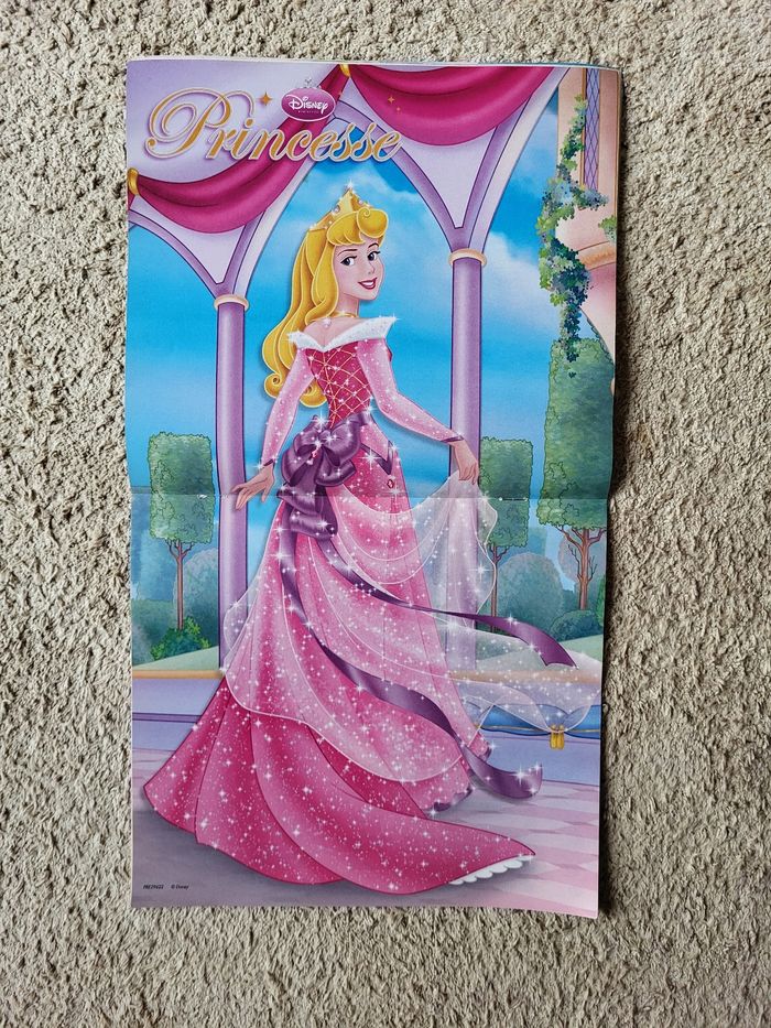 Lot de 4 livres princesse Disney Charlotte aux fraises, Les petites princesses et Pirouette - photo numéro 2