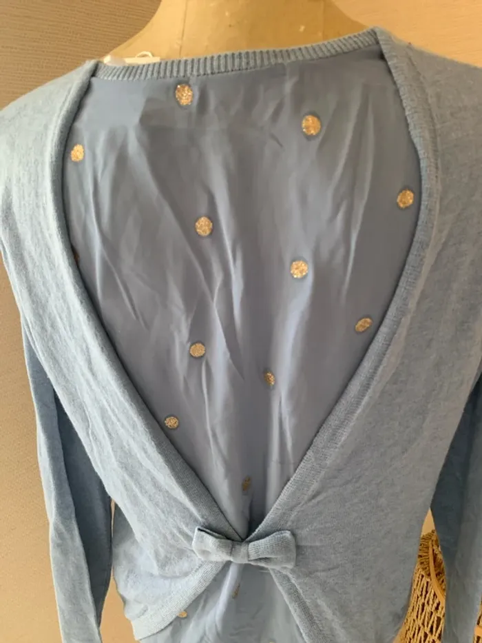 Joli pull blouse femme - photo numéro 4