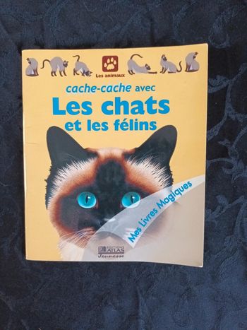 Cache cache avec les chats et les félins atlas