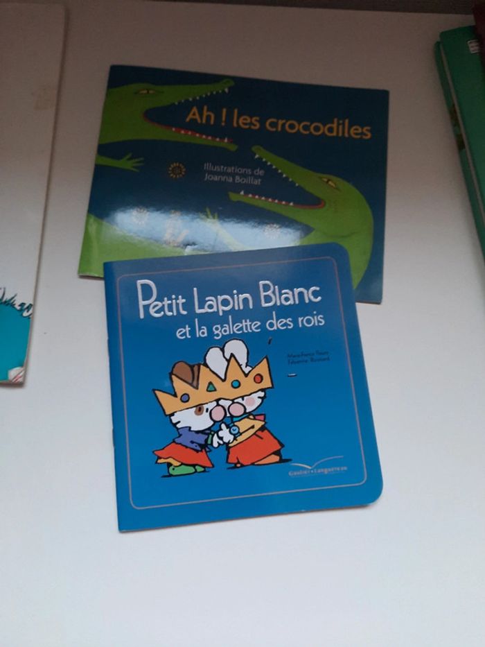 Lot de 6 livres enfants - photo numéro 10