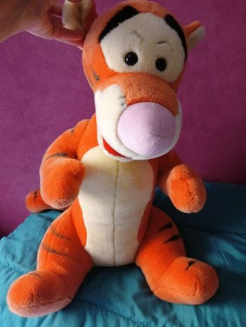 Gros TIGROU 🐯🐅
