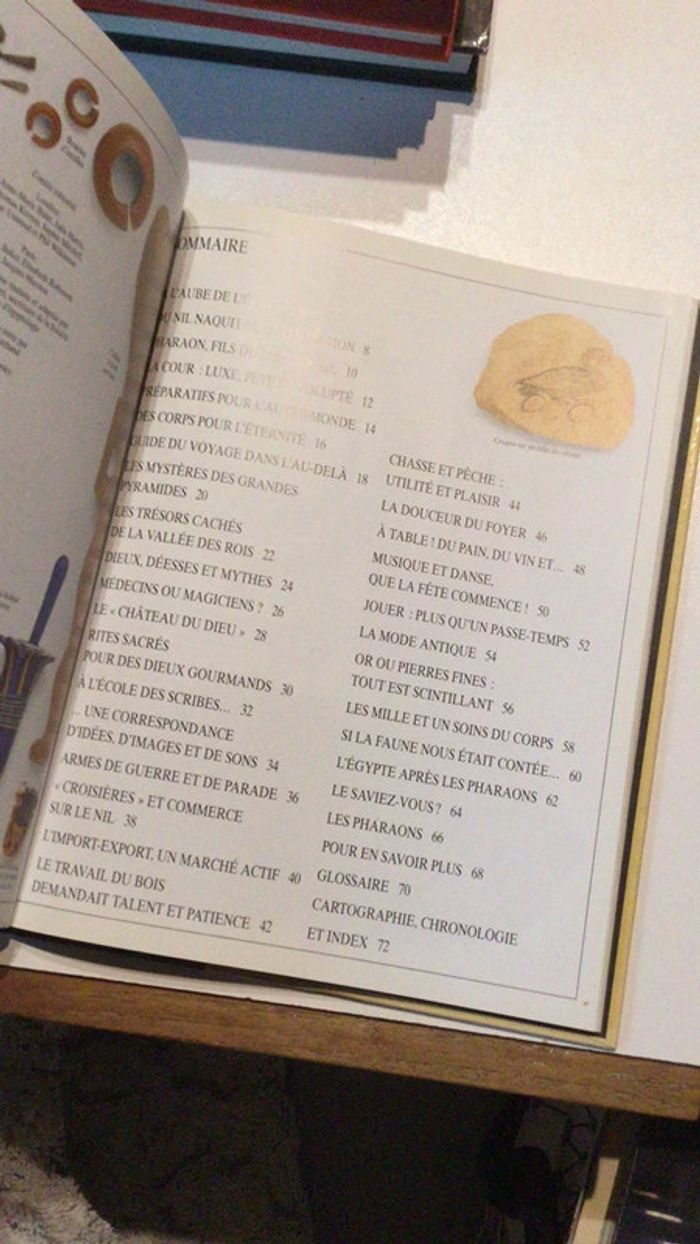 Livre histoire mémoire de l’Égypte en couleurs - photo numéro 3