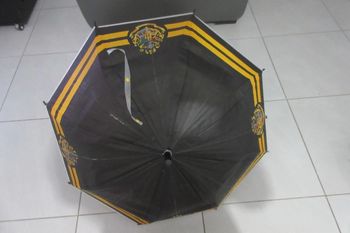 Parapluie HarryPotter