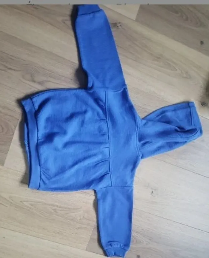 Sweat capuche zippée 24 mois - photo numéro 6