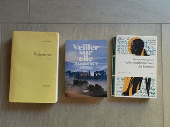 3 Romans Primés Goncourt et Renaudot :Veiller sur elle, La plus secrète mémoire des hommes, Naissance