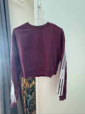Pull bordeaux