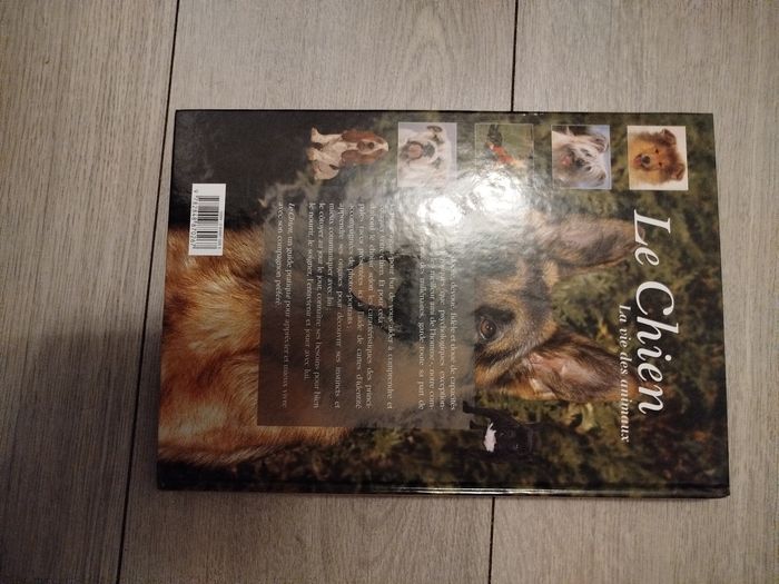 Le chien - photo numéro 3