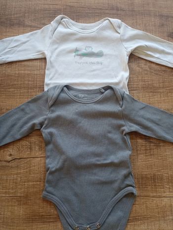 Lot 2 bodies manches longues mixte 9 mois