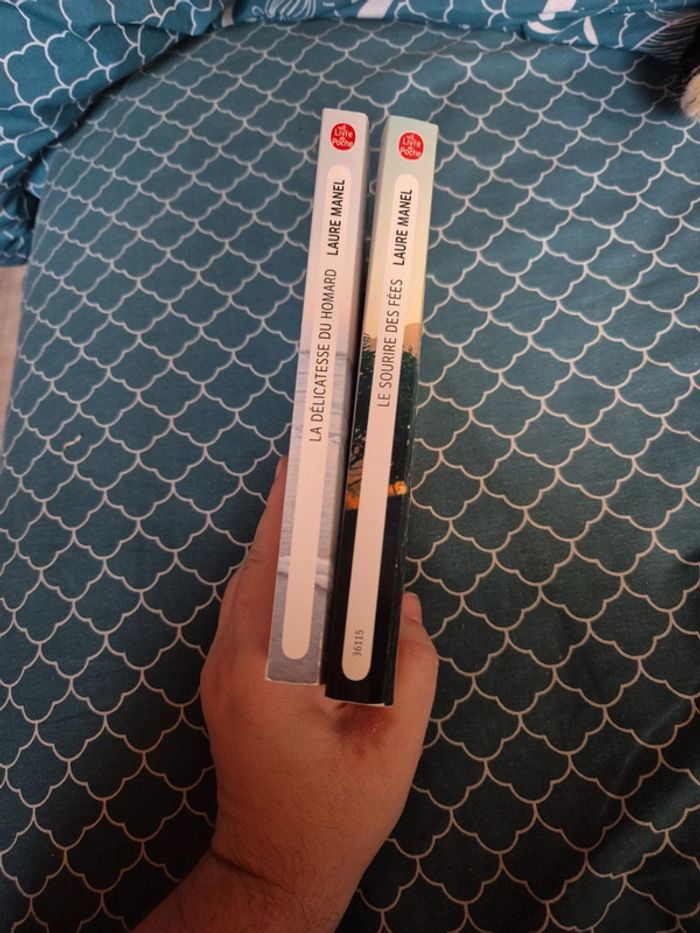 Lot de 2 livres de Laure Manel - photo numéro 4