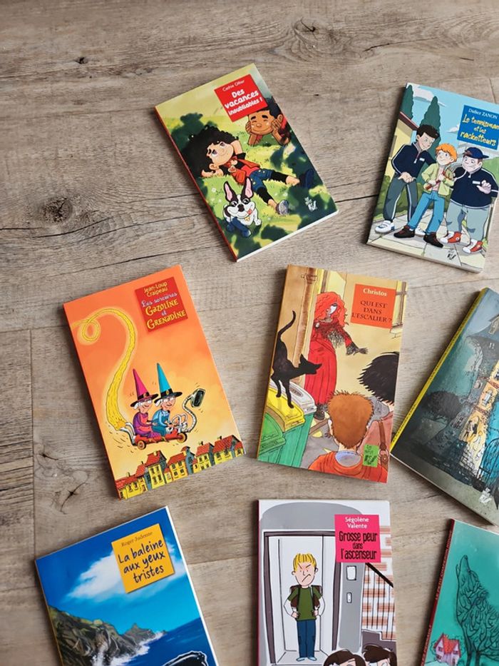 Livres - photo numéro 5