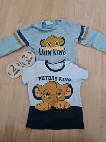 Ensembleroi lion