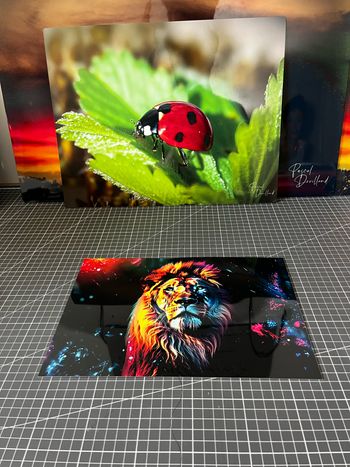 Poster en métal lion