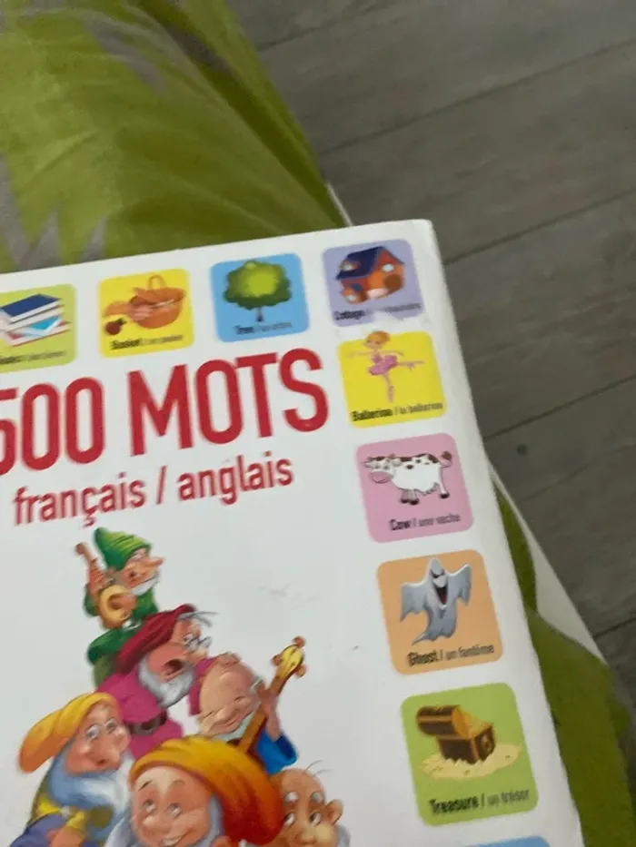 Livre anglais enfant - photo numéro 2