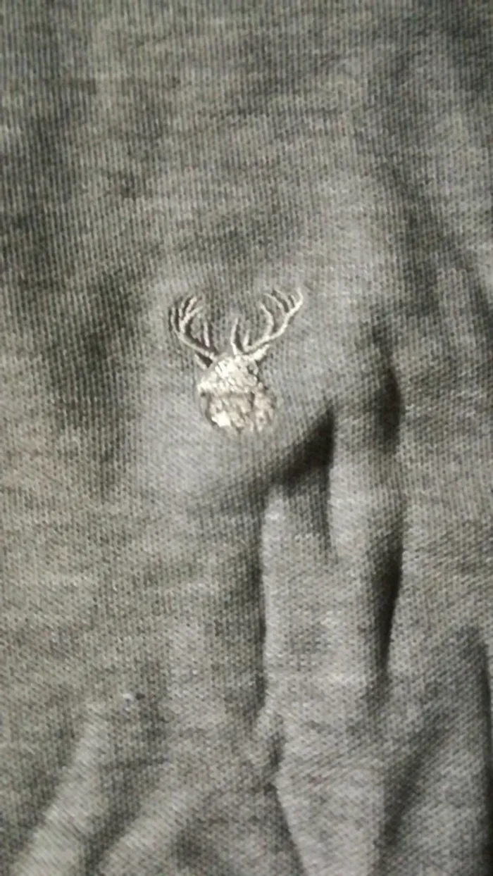 Polo L - photo numéro 3