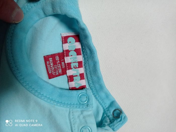 petite grenouillere - photo numéro 4