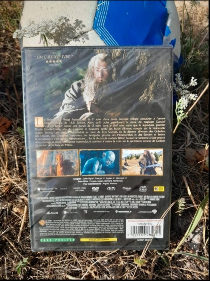 DVD adulte - photo numéro 2