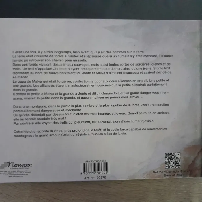 livre le troll et la sorcière - photo numéro 5