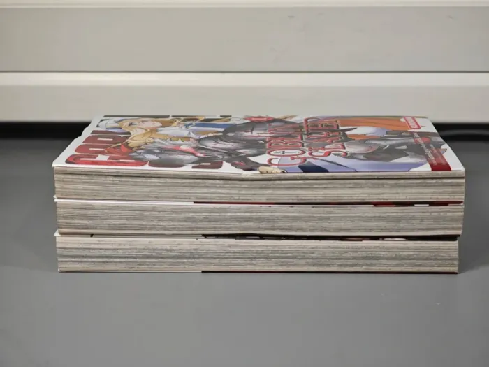 Lot Manga Goblin Slayer 1 à 3 VF - photo numéro 4