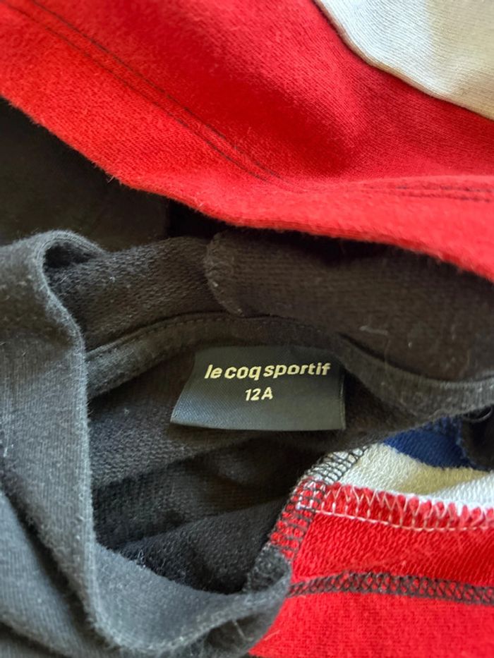 Sweat capuche coq sportif - photo numéro 3