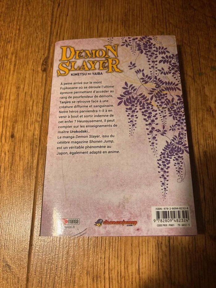 Demon Slayer Tome 2 – Kimetsu no Yaiba (Édition Française) - photo numéro 2